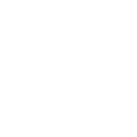 conchiglia_01