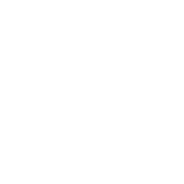conchiglia_04