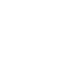 conchiglia_06