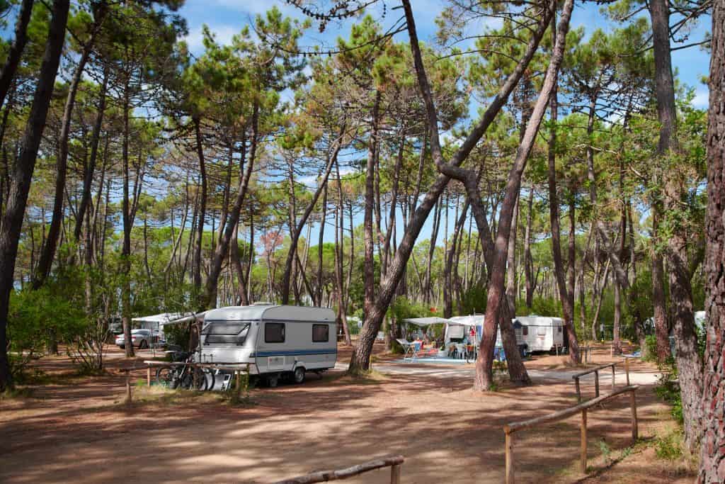 pineta camping baia verde