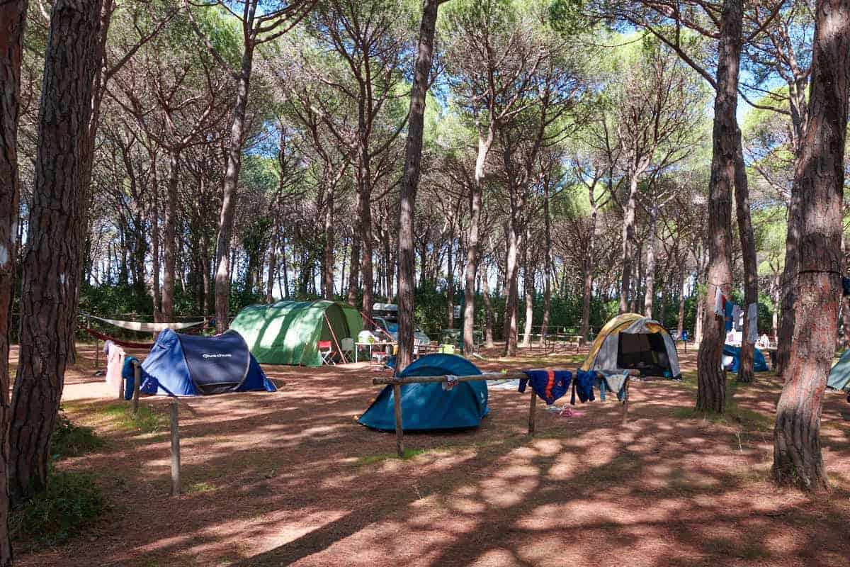 Pineta-Baiaverde-tenda